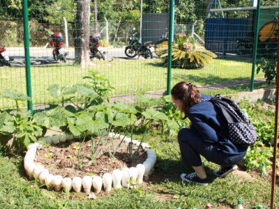 Estudante mulher agachada observando as hortaliças na horta orgânica.