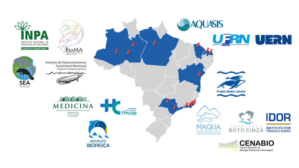 mapa infográfico de estados brasileiros com atuação do projeto