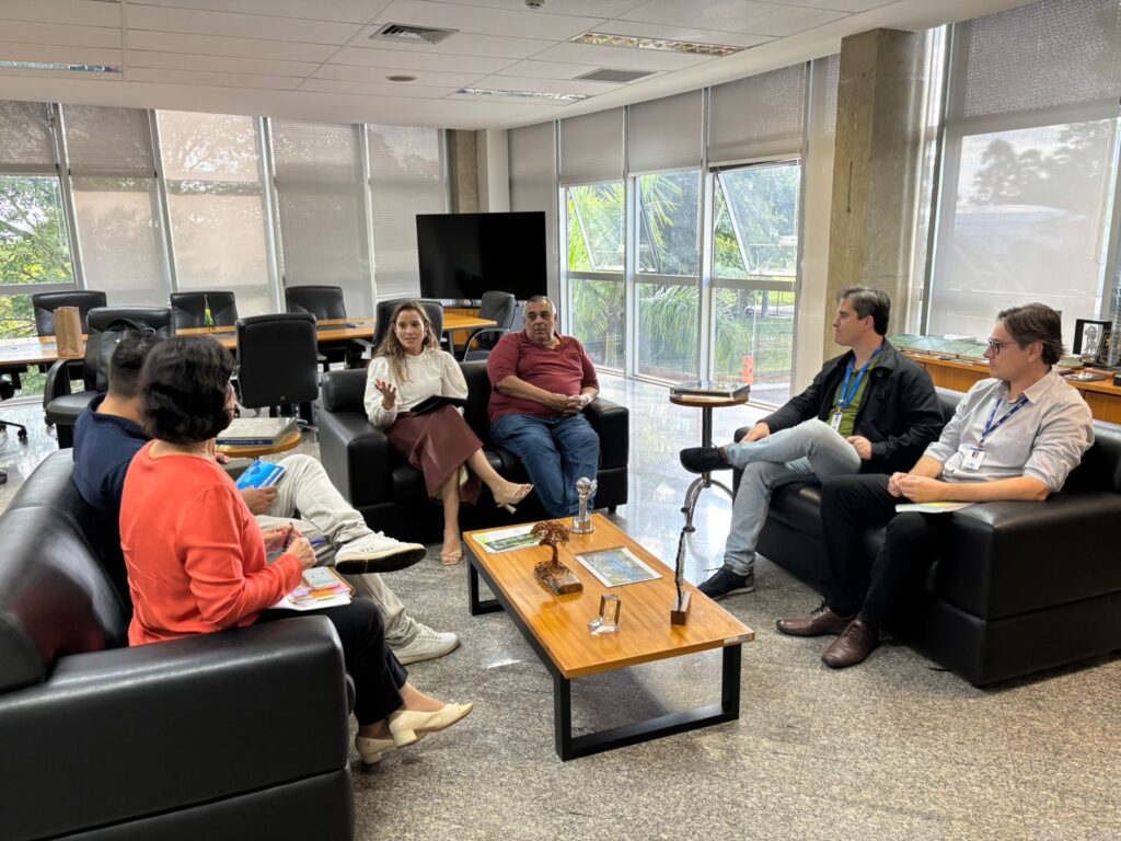 grupo de pessoas reunidos em volta de um centro de mesa